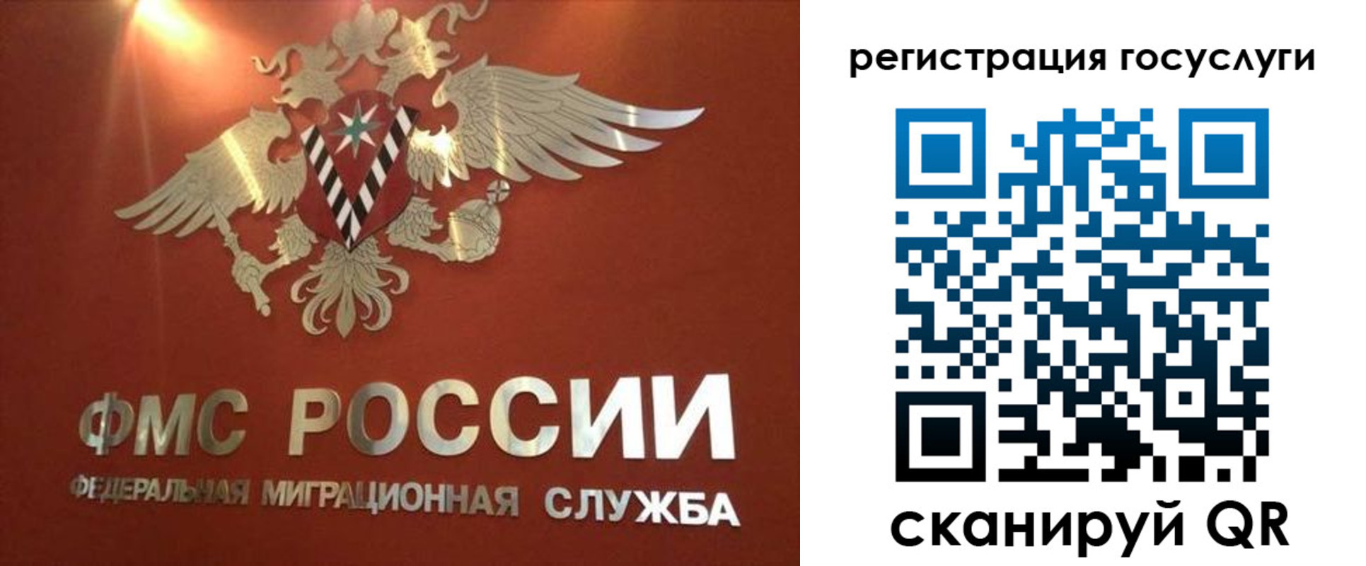 прописка ребенка в Ленинградской области